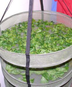 iPower GLDRYRD2L4 4Layer Green Mesh Hanging Herb Drying Rack Heavy Duty Ring for Hydroponic Plant, Free Storage Bag and Hook Included, 2Ft 4-Layer 19 91QRHIw3lyL