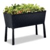 Keter Easy Grow 31.7 Gallon Raised Garden Bed with Self Watering Planter Box and Drainage Plug-Perfect for Growing Fresh Vegetables, Flowers and Herbs Graphite