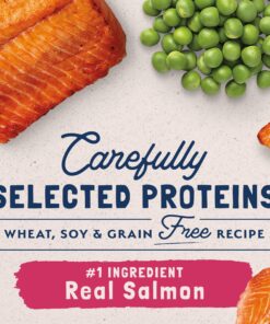 Natural Balance Limited Ingredient Adult Grain-Free Wet Canned Cat Food, Salmon & Green Pea Recipe, 5.5 Ounce (Pack of 24) 20 91QTfAp7TkL