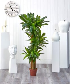 Nearly Natural - 6584 62in. Corn Stalk Dracaena Silk Plant (Real Touch), 24" x 28" x 62", Green artificial plant 35 91Qf8C1jChL