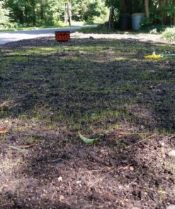 Scotts Turf Builder Starter Fertilizer for New Grass, Use When Planting Seed, 5,000 sq. ft., 15 lbs. Standard 5,000 sq. ft. 41 91QoKqHS7gL