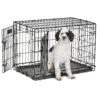 Medium Dog Crate | MidWest Life Stages 30" Double Door Folding Metal Dog Breed Crate | Divider Panel, Floor Protecting Feet & Dog Pan | 30.6L x 19.3W x 21.4H Inches 30.6"L x 19.3"W x 21.4"H Lifestages; Double Door