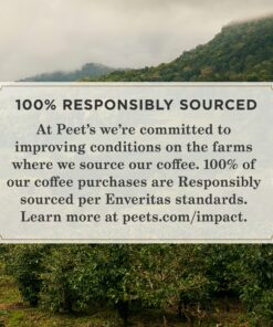 Peet's Coffee, Dark Roast K-Cup Pods for Keurig Brewers - Major Dickason's Blend 32 Count (1 Box of 32 K-Cup Pods) Major Dickason's - 32 K-Cups 32 Count (Pack of 1) 17 91R4Fjd7ZmL