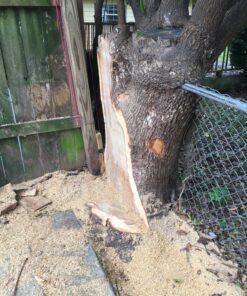 WORX WG303.1 14.5 Amp 16" Electric Chainsaw 16" 14.5Amp Electric Chainsaw 39 91R8rmakyFL