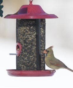 Stokes Select Red Rock Twin Chamber Bird Feeder with Metal Roof, Red, 2.4 lb Seed Capacity 3 91RC2aLQ 1L