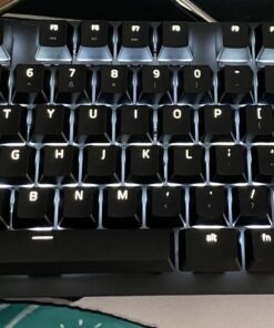 Razer BlackWidow Lite TKL Tenkeyless Mechanical Keyboard : Orange Key Switches - Tactile & Silent - White Individual Key Lighting - Compact Design - Detachable Cable - Classic Black Orange Switches - Tactile & Silent 44 91RCbB2paEL