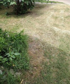 Greenworks 40V 21" Brushless Cordless (Push) Lawn Mower (75+ Compatible Tools), 5.0Ah Battery and Charger Included 21" Mower (5.0Ah) 46 91REbMG0jL