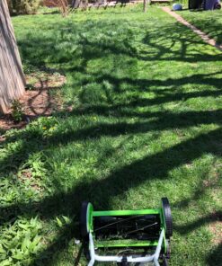 Greenworks 16-Inch Reel Lawn Mower with Grass Catcher 25052,Black/Green, 47"D x 22"W x 29.75"H 16" Reel Mower 56 91RMdeeEOJL