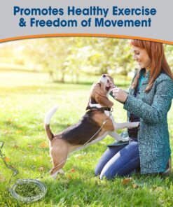 Four Paws Heavy Weight Tie Out Cable Silver 20 Feet 10 91RWWKmqxOL