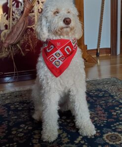 Charlee Bear Original Dog Treats, Turkey Liver & Cranberries, 16 oz 1 Pound (Pack of 1) 25 91RpI20HDVL