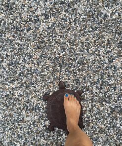 Sunset Vista Designs Cast Iron Turtle Garden Stepping Stone, 13-Inch long 18 91RwYNuSrqL