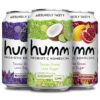 Humm Kombucha Paradise Variety Pack - 2 Billion Probiotics for Gut Health - Blackberry, Coconut Lime, Pomegranate Lemonade (12 Pack) 12 Fl Oz (Pack of 12) 18 91Rxz4gBKmL