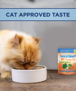Natural Balance Original Ultra Platefulls Indoor Adult Grain Free Wet Cat Food, Chicken & Chicken Liver Recipe, 3 Ounce Pouch (Pack of 24) 14 91S4wApN9ZL