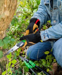 Hooyman MegaBite Handsaw and Hunter’s Combo Bone Saw with Heavy Duty Construction, High Carbon Steel Blade, Impulse Hardened Teeth, and Ergonomic Over-Molded Handle for Camping, Hunting, and Outdoors MegaBite Handsaw 8" 8 91S7ctBdYrL