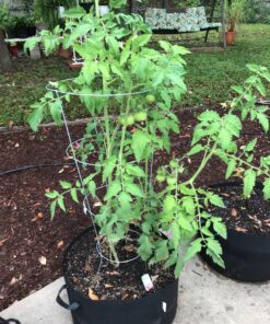 VIVOSUN 5-Pack 15 Gallon Plant Grow Bags, Heavy Duty Thickened Nonwoven Fabric Pots with Handles Black 15 Gallons 36 91SEBWau2nL