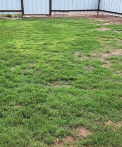 Scotts Turf Builder Grass Seed Bermudagrass, Mix for Full Sun, Built to Stand Up to Heat & Drought, 5 lbs. 5 lb. 74 91SEfx2kiL