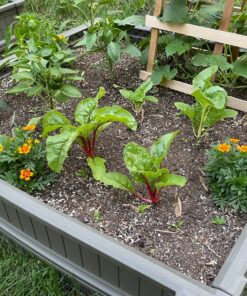 Lifetime 60069 Raised Garden Bed Kit, 4 by 4 Feet, Pack of 3 52 91SHreiueTL