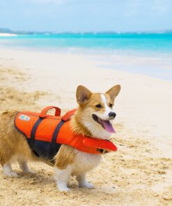 Outward Hound Granby Splash Orange Dog Life Jacket, Medium Granby (Flotation) Medium (Chest Girth: 21"-27") 29 91SK8Kwlk0L