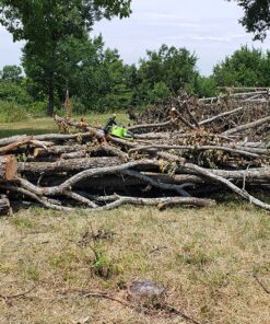 Greenworks 40V 16" Brushless Cordless Chainsaw (Great For Tree Felling, Limbing, Pruning, and Firewood / 75+ Compatible Tools), 4.0Ah Battery and Charger Included 16" (4.0Ah) Gen 1 50 91SNADVtESL