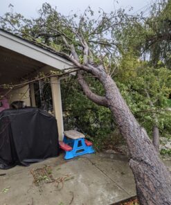 ABCCANOPY Patio Pop Up Canopy Tent 10x10 Commercial-Series (White) White 42 91SStsY3iL