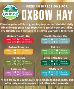 Oxbow Animal Health Western Timothy Hay- Veterinarian Recommended- Hay for Rabbits, Chinchillas, Guinea Pigs & Other Small Pets- Grown in the USA- Premium Quality Natural Hay- Fiber Rich- 40 Oz 2.5 Pound (Pack of 1) 32 91ScbE2AACL