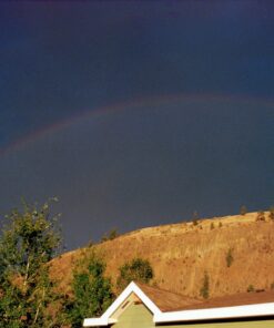 Kodak Ektar 100 Professional ISO 100, 35mm, 36 Exposures, Color Negative Film 30 91SeNeGnxqL