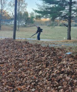 Poulan Pro PR48BT, 48cc 2-Cycle Gas 475 CFM 200 MPH Backpack Leaf Blower 27 91SiuQbH L