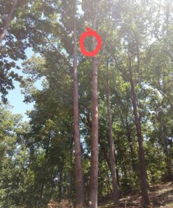 Sportsman Pocket Chainsaw 36 Inch Long Chain With Fire Starter Best Compact Folding Hand Saw Tool for Survival Gear, Camping, Hunting, Tree Cutting or Emergency Kit. Replaces Your Pruning & Pole Saw 53 91SmvZndpPL 1