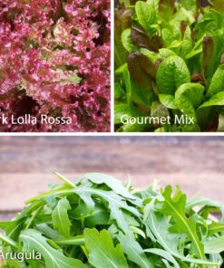 7 Varieties of Leafy Power Green Organic Seeds, Non-GMO Seeds for Planting, Heirloom Seeds - Spinach Seeds, Arugula, Kale, Lolla Rossa Lettuce Seeds, Buttercrunch, Gourmet Mix Lettuce, Swiss Chard 36 91Spkwp9dHL