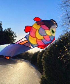 emma kites Cute Rainbow Fish Windsock Spinner Spiral 32-inch 20 91T7KQGwiOL