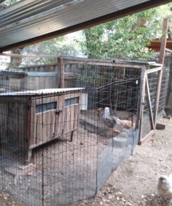 MidWest Homes for Pets Foldable Metal Dog Exercise Pen / Pet Playpen, Black w/ door, 24'W x 48'H, 1-Year Manufacturer's Warranty 48" H 40 91T9dkhmS5L