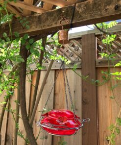 Skinny Ant Moat with Guard for Hummingbird Feeders - Gets Rid of Ants Fast in Nectar Feeder. All Natural & No Chemicals Needed. 45 91TEk8fif1L