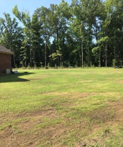 Scotts Turf Builder Grass Seed Bermudagrass, Mix for Full Sun, Built to Stand Up to Heat & Drought, 5 lbs. 5 lb. 93 91TGjHZ8wDL