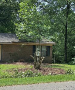 Mini Chainsaw 6-Inch Battery Powered - Cordless Electric Handheld Chainsaw with 2 Rechargeable Batteries - 21V Small Power Chain Saws Battery Operated for Tree Trimming Wood Cutting 33 91TQsuECneL