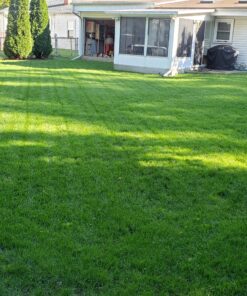 Scotts Turf Builder Grass Seed Sun & Shade Mix, Grows in Extreme Conditions & Spreads for a Durable Lawn, 7 lbs. 1 Pack 7 lb. 68 91TfSVjO4mL 1