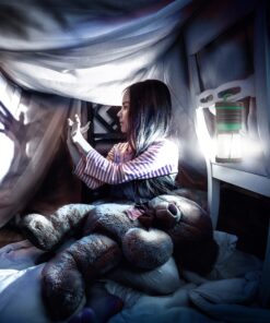 Blazin Ultra Bright Camping Lantern - Waterproof, Portable & Lightweight, 500 Lumens Battery Operated Camping Light - Ideal for Camping, Hurricane, Power Outages & Emergencies 500 Lumen Green 34 91Thyq3scmL