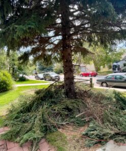 Sun Joe SWJ800E 8-Inch 6.5-Amp Telescoping Electric Pole Chain Saw with Automatic Chain Lubrication System Pole Saw 8-Inch Bar/Chain 8.7' Max. Extension 50 91TztjAopfL