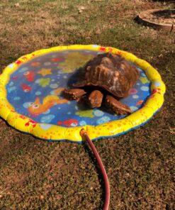 BANZAI 54In-Diameter Sprinkle & Splash Play Mat 23 91U7FHsHpiL