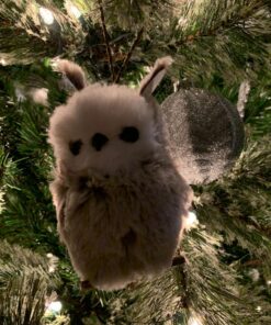 Kurt Adler 1 Set 2 Assorted Brown And White Owl Ornaments,white, grey 34 91UEfr00X4L