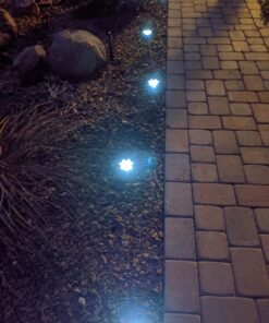 IdeaWorks JB7356 Solar Paw Print Outdoor Lights, Black 39 91UIikdAcpL