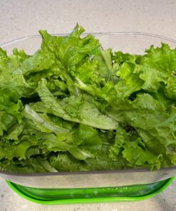 Prep Solutions by Progressive Lettuce Keeper Produce Storage Container, 4.7 Quarts 39 91USiNyMQtL