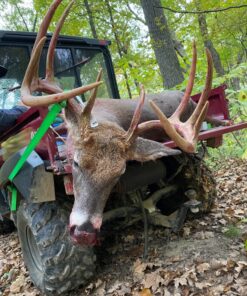 Dead Down Wind Trophy Hunter Scent Eliminator, 10 Piece Kit 5 91UlfZxjbeL