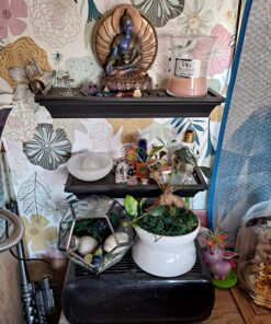 Medicine Buddha Collectible Sculpture 8 91UnI382g0L