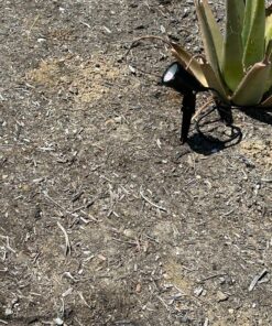 ZUCKEO Low Voltage Landscape Lights LED Landscape Lighting, 5W 12V Garden Pathway Lights Waterproof Warm White Walls Trees Flags Outdoor Landscape Spotlights with Stakes (8 Pack) 62 91UxxbmSLRL