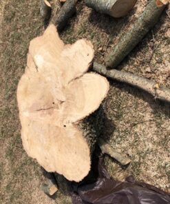 Makita 9403 4" x 24" Belt Sander, Teal 57 91V54xJBpWL