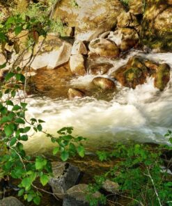 Photomatix Pro 6 PC/Mac 29 91VFM2NDhyL