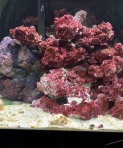 Seachem PhosGuard, 100 mL bagged - 67101850 26 91VUlze91ML