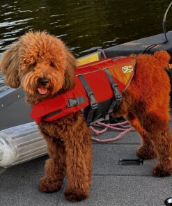Outward Hound Granby Splash Orange Dog Life Jacket, Small Granby (Flotation) Small (Chest Girth: 16"-20") 46 91VaBnrQsdL