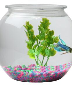 Koller Products Panaview 1-Gallon Globe Fish Bowl (BL10RFFP) 20 91VbtAidKML