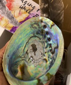 Smudge Kit Spiritual Set, Large Abalone Shell, Complete Sage Smudge Stick Kit, Palo Santo, White Sage Incense for Cleansing, Smudge Feather,Chakra Kit Bracelet, Charitable Positive Vibes Smudging Kit 56 91VmE5H72ML